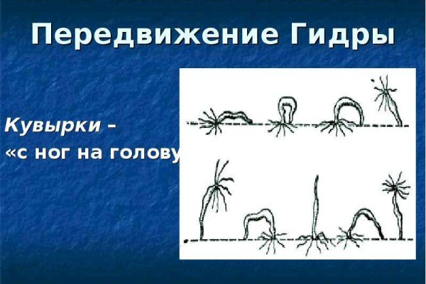 Каталог сайтов супернет