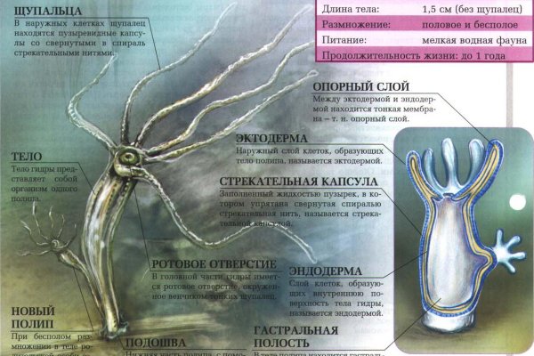 Kra41.at Вход на сайт главная страница