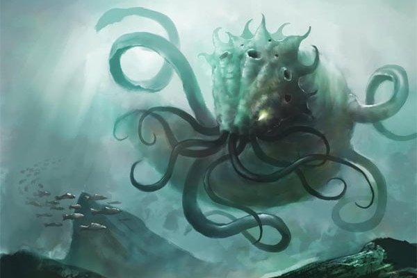 Kraken com whitenet