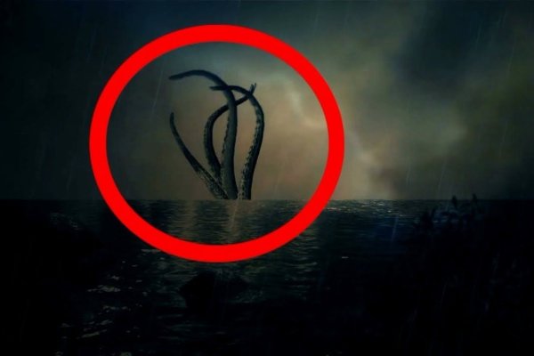 Kraken whitenet tor
