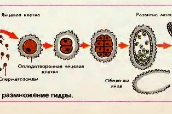 Только через тор кракен