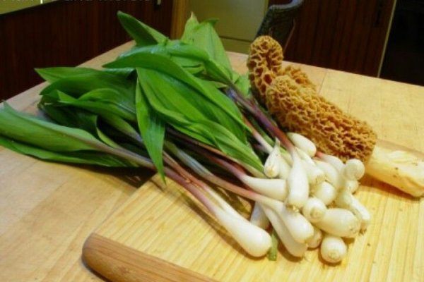 Кракен супернет слушать