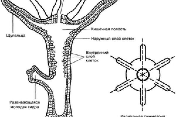 Кракен ссылка vtor