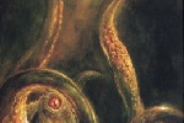 Кракен супернет зайти